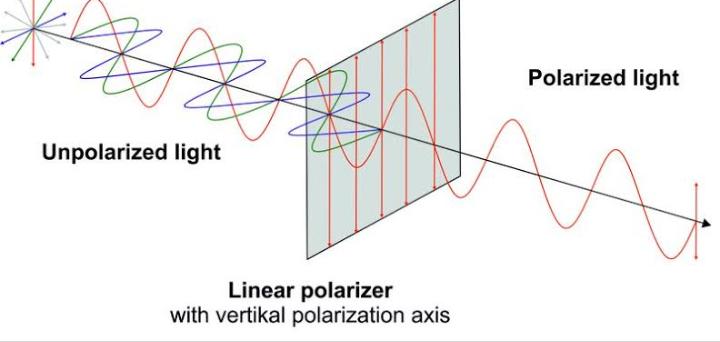 You are currently viewing Polarization