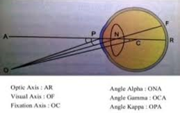 You are currently viewing AXES AND ANGLES OF THE EYE