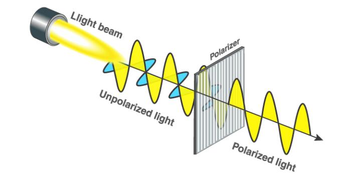 equation for light intensity through polarized filters