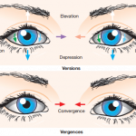 Assessment of Ocular Movements