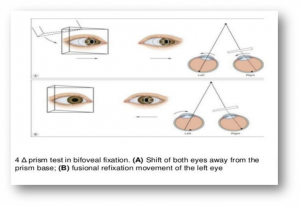 SENSORY EVALUATION - Optography
