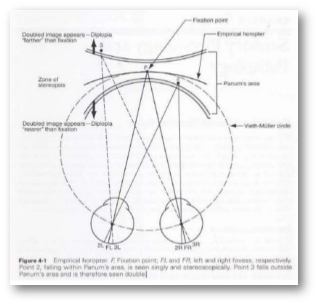 SENSORY EVALUATION - Optography