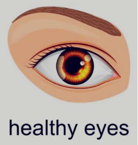 Read more about the article OCULAR MANIFESTATION OF SYSTEMIC INFECTIONS