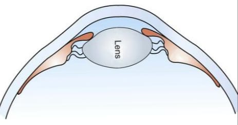 Read more about the article The essential functions of human eyes