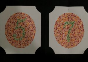 Read more about the article Seeing the World in Color